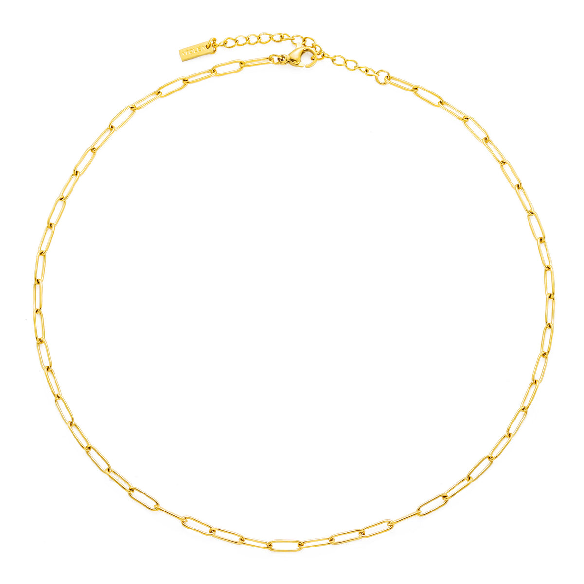 Paperclip Link Choker