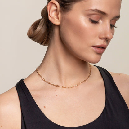 Paperclip Link Choker