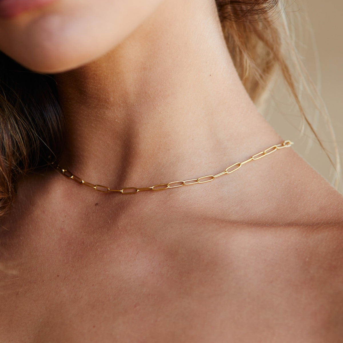 Paperclip Link Choker